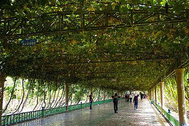 英国实体周榜：《街头霸王6》首周表现喜人直登第二